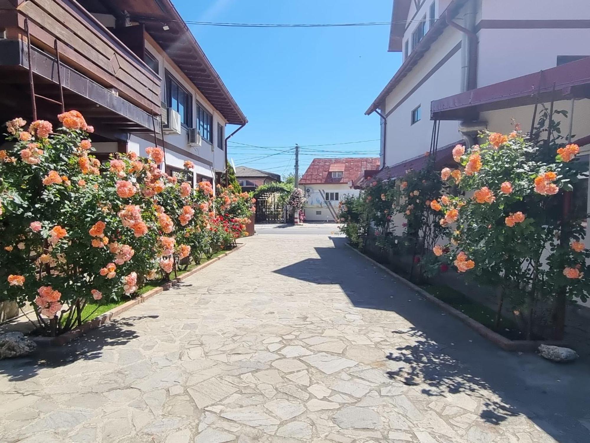 Casa Luca Hotel Vama Veche Exterior photo